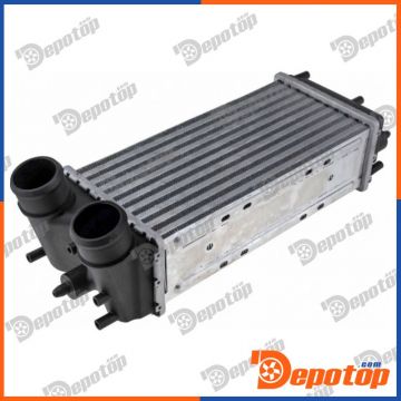 Intercooler pour FORD | CNG-FR-015, FT766K775BA